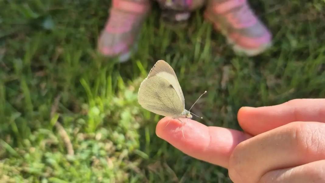 Kepez’de Miniklere Doğa Aşısı! Teleskopla Keşfettiler 6